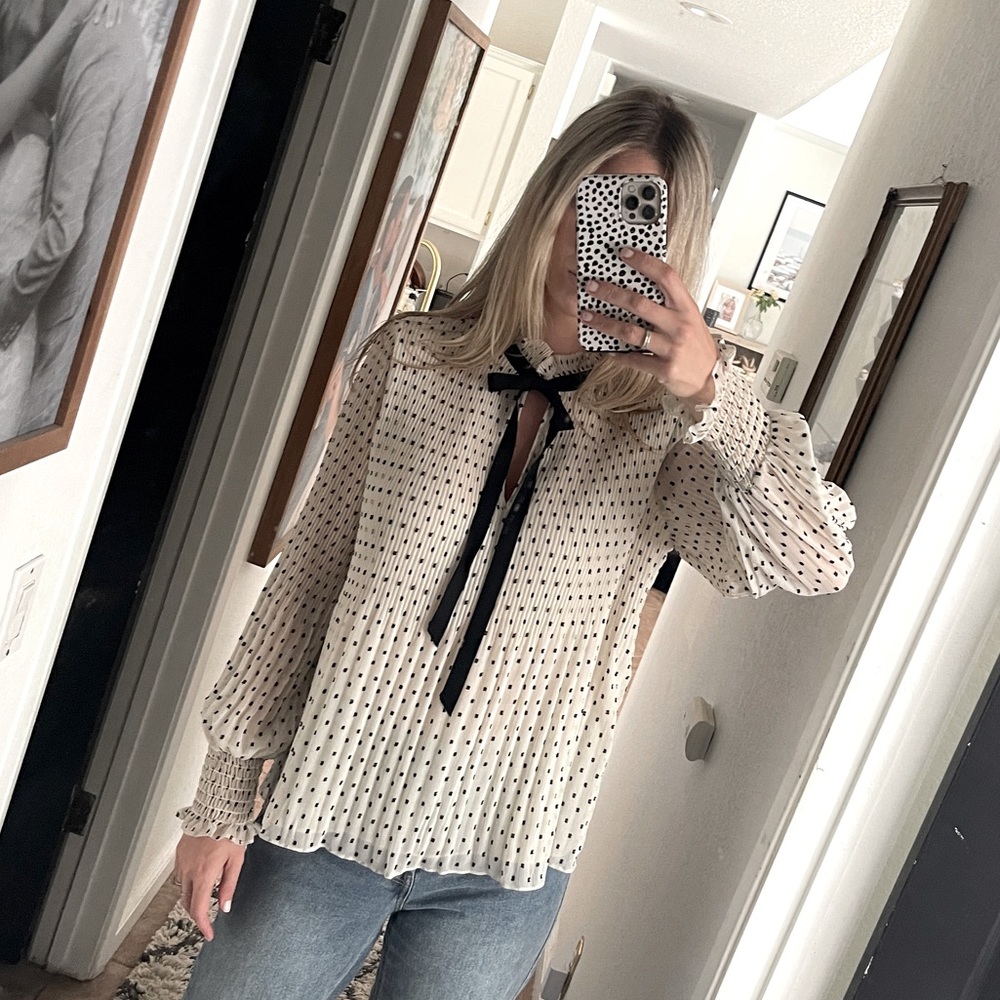 Parisian Style Tie Front Pleated Blouse with Embroidered Dots and Sleeve Detail